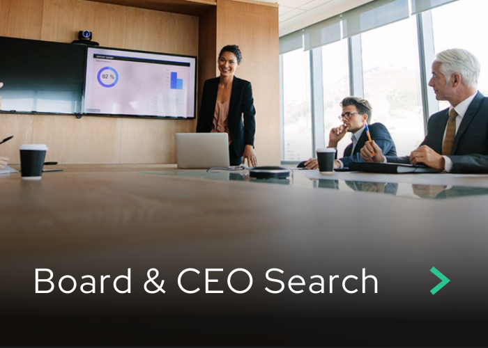 Board and CEO Search